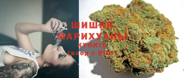 шишки Алзамай