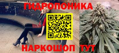 крисы Татарск
