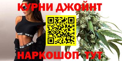 гидра Ставрополь