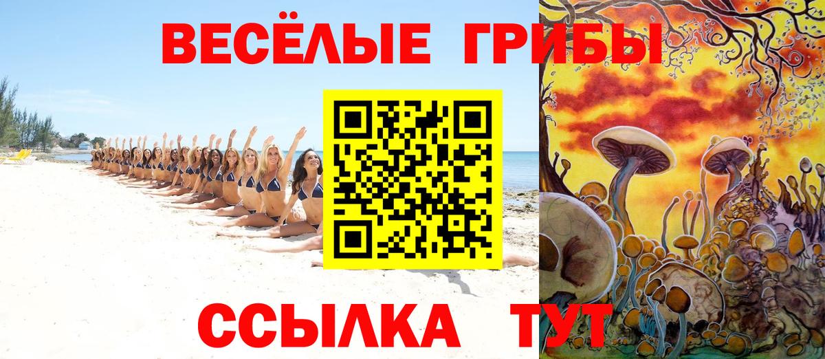 Галлюциногенные грибы MAGIC MUSHROOMS Тосно