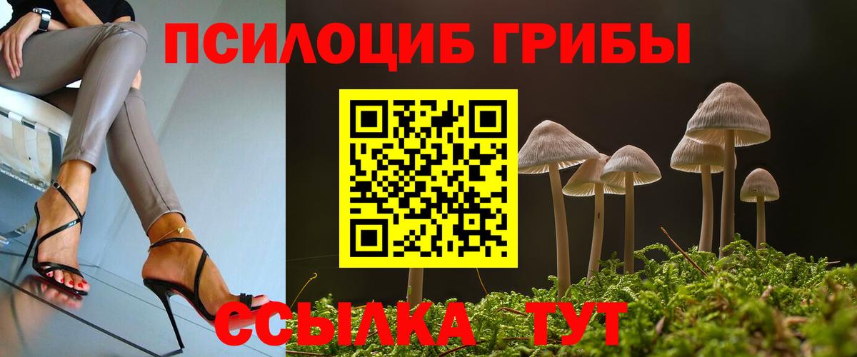 Псилоцибиновые грибы Magic Shrooms  сколько стоит  Тосно  Вход с VPN 